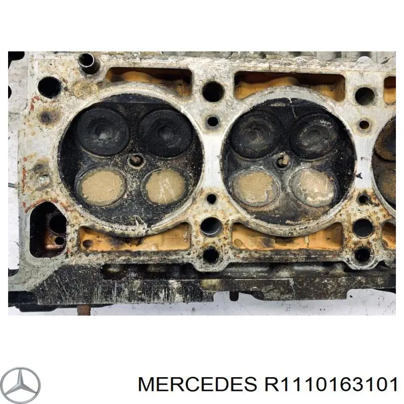  R1110163101 Mercedes