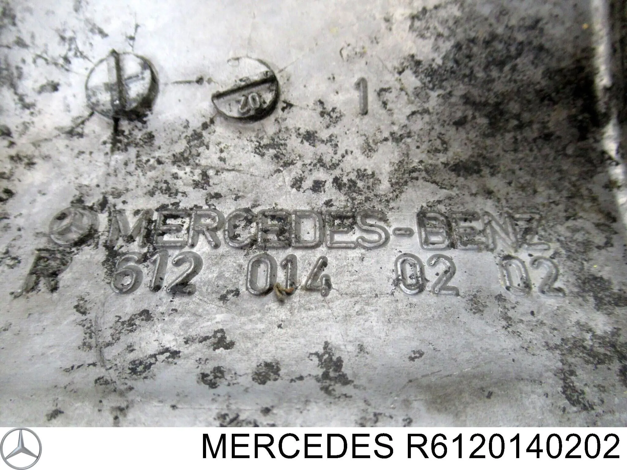Купити R6120140202 Mercedes Захист двигуна