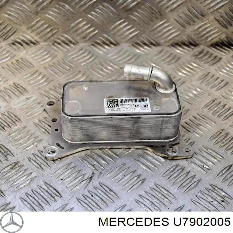  U7902005 Mercedes