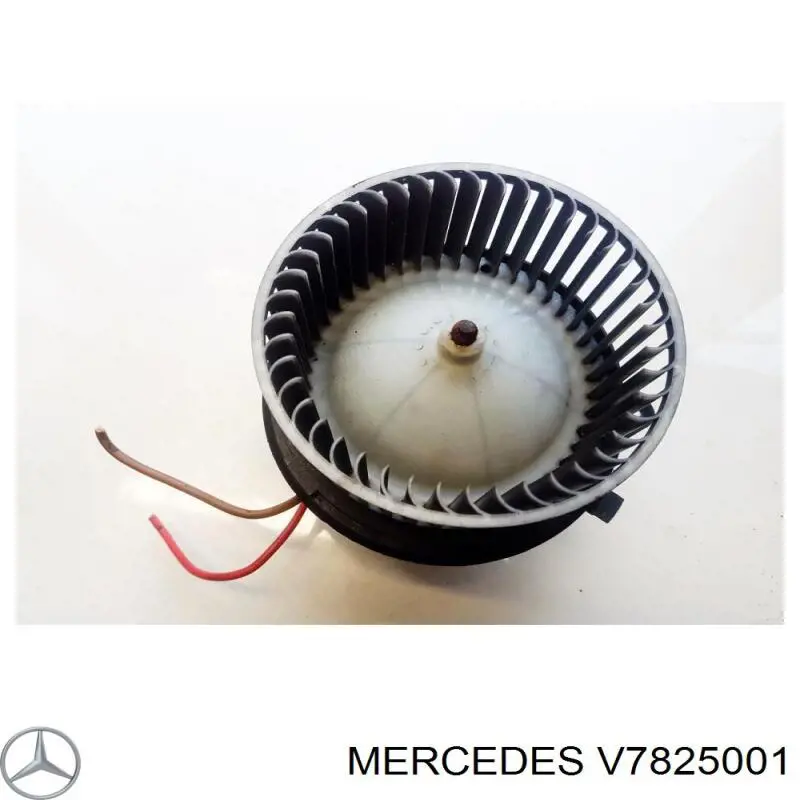  V7825001 Mercedes