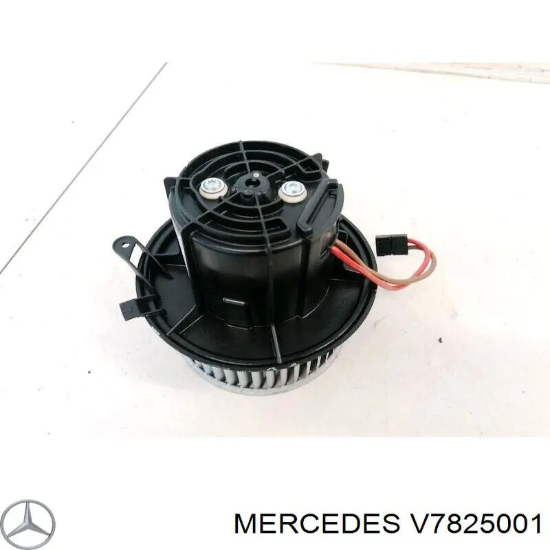 V7825001 Mercedes 