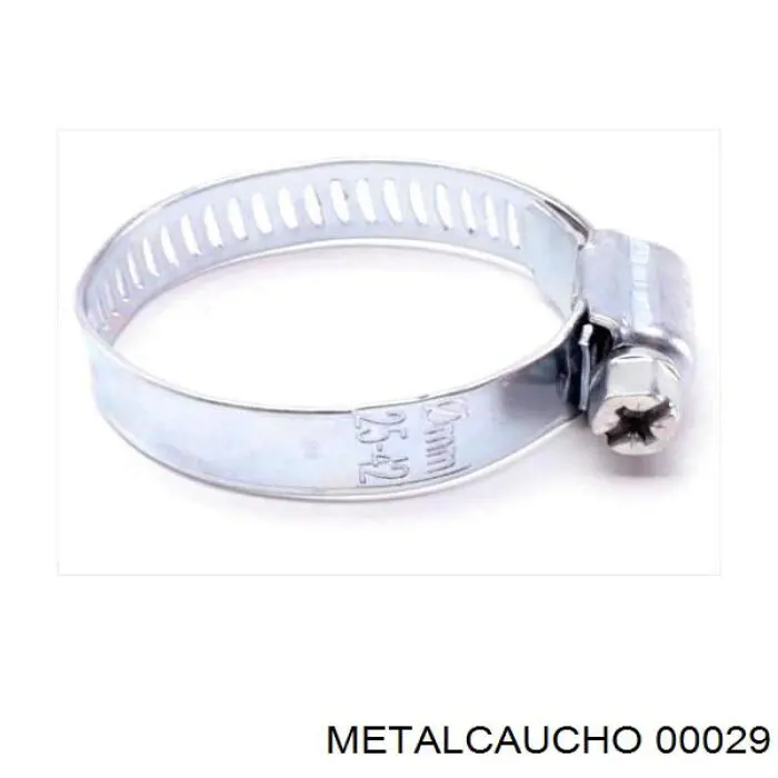 00029 Metalcaucho 