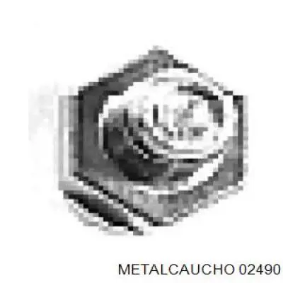 Купити 02490 Metalcaucho Пробка піддона двигуна