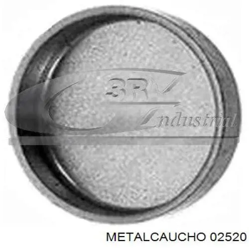 02520 Metalcaucho заглушка гбц/блоку циліндрів