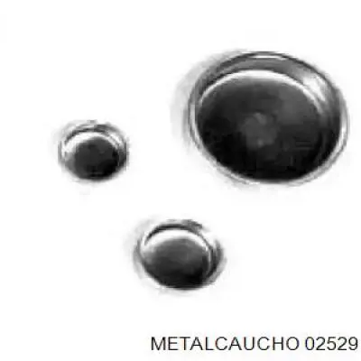 Купити 02529 Metalcaucho Заглушка блоку циліндрів