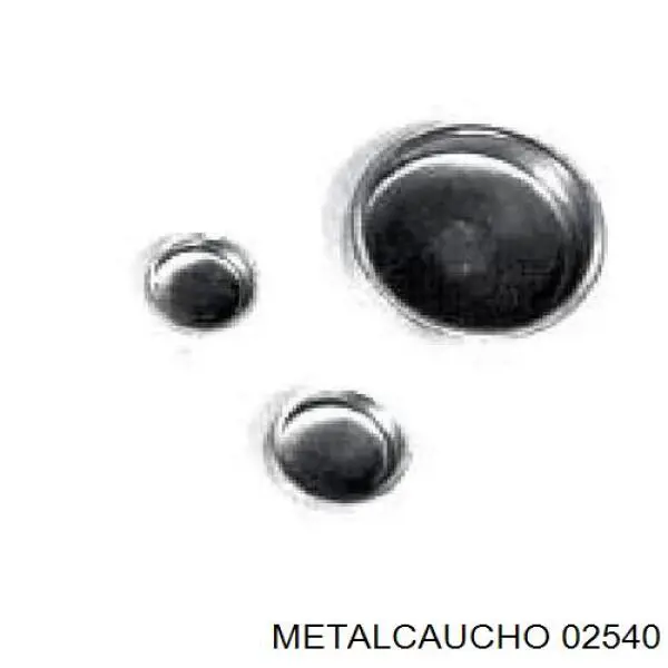 02540 Metalcaucho заглушка гбц/блоку циліндрів