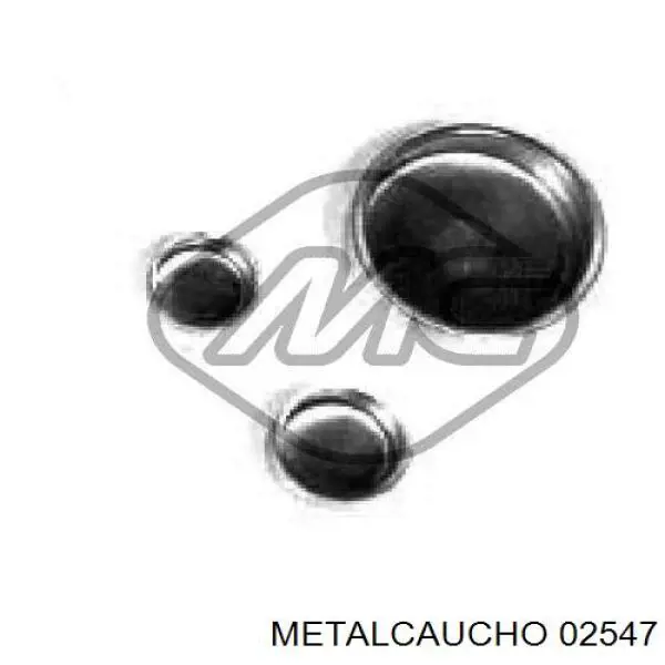 Заглушка ГБЦ/блоку циліндрів Metalcaucho 02547 ціна, від 2.63 USD