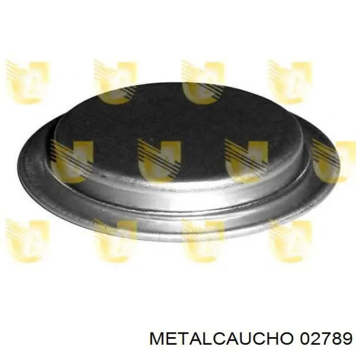 Купити 7579570 Fiat/Alfa/Lancia Заглушка блоку циліндрів