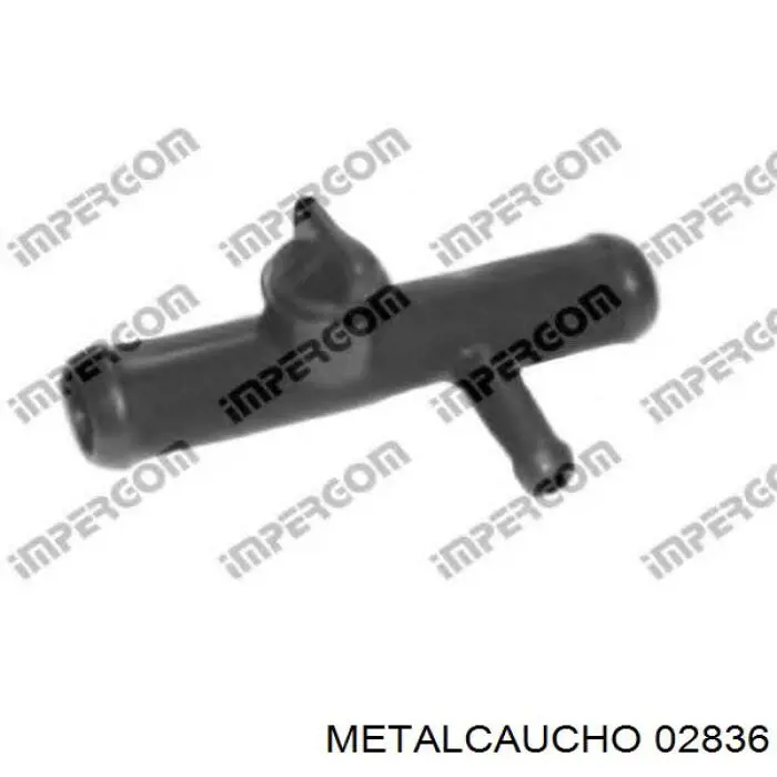  02836 Metalcaucho