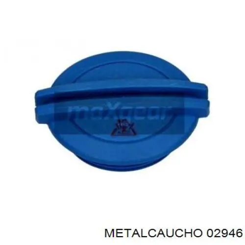  Metalcaucho 02946