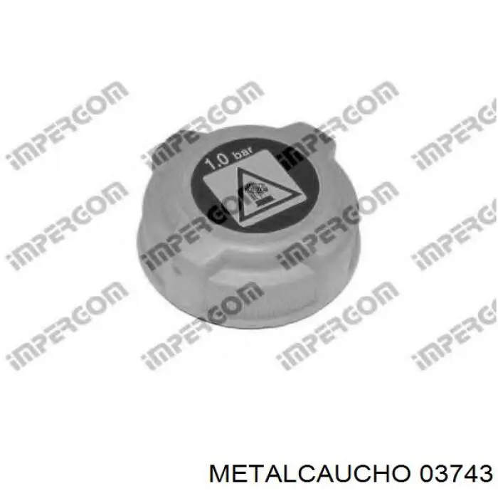 Бачок розширювальний Thermotec DBF002TT