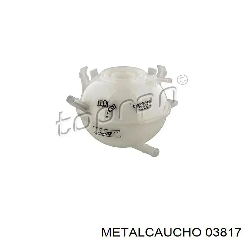 Купити 03817 Metalcaucho Водяний бачок системи охолодження