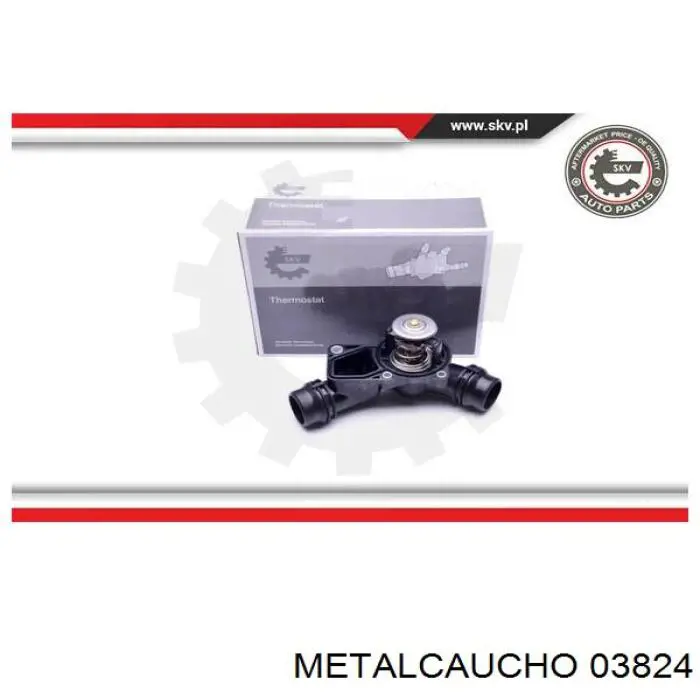 03824 Metalcaucho термостат