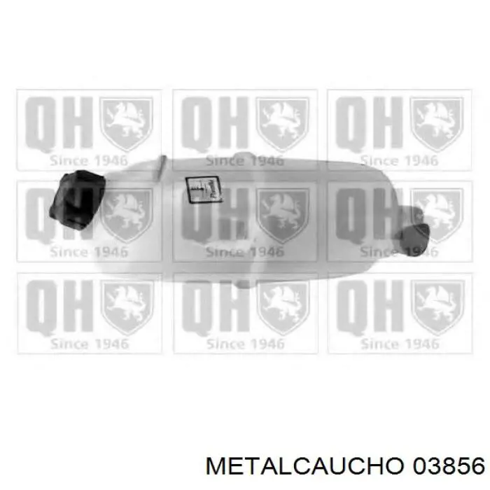  03856 Metalcaucho