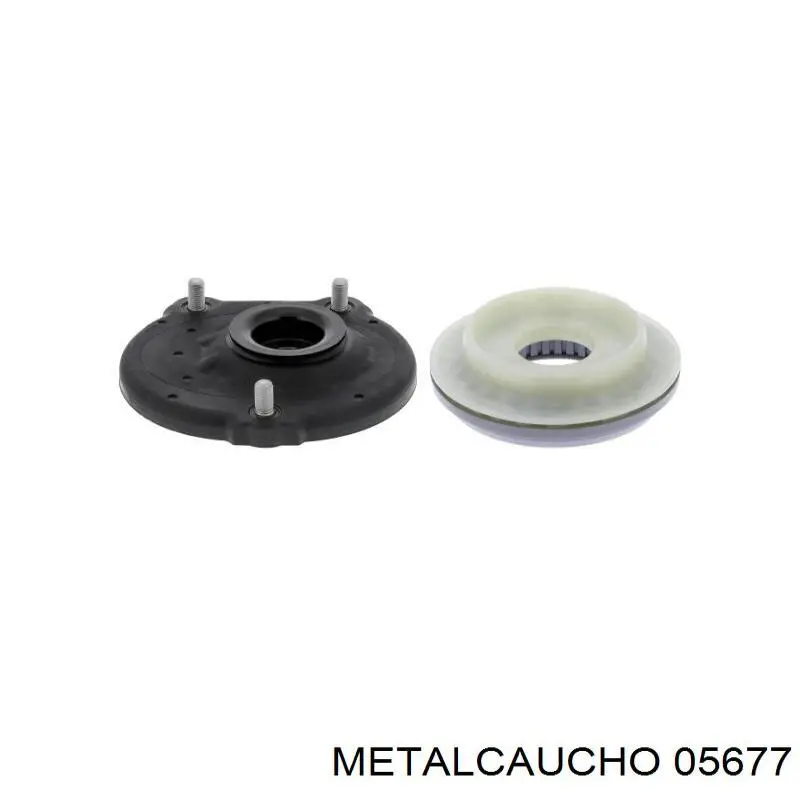  Metalcaucho 05677