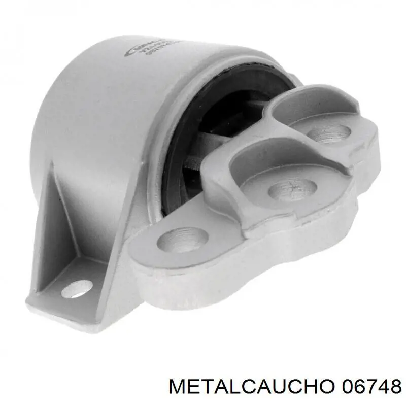 Торсіон задній правий Metalcaucho 06748 ціна, від 42.51 USD