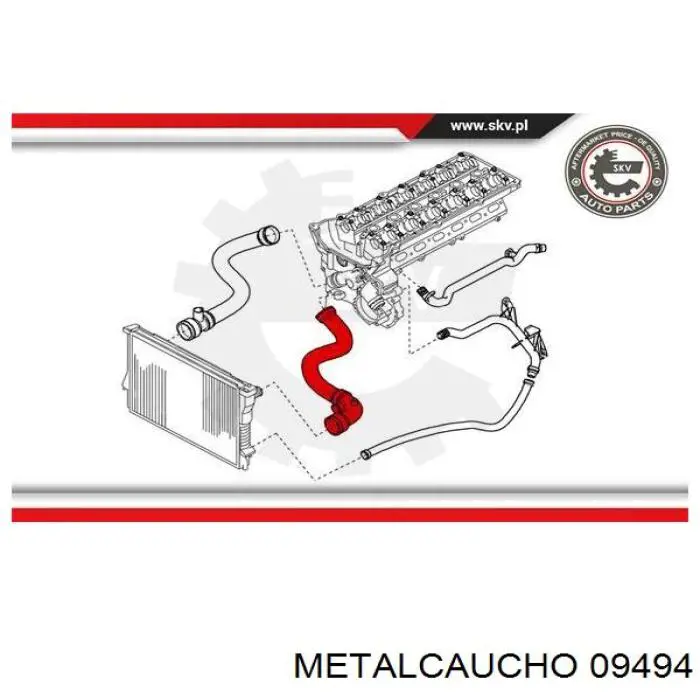 09494 Metalcaucho шланг/патрубок радіатора охолодження, верхній