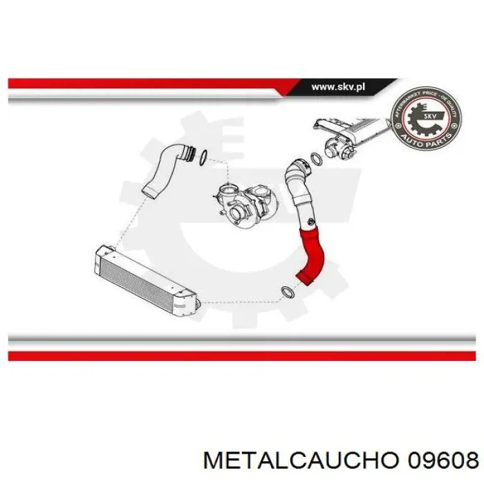 Шланг/патрубок интеркуллера Metalcaucho 09608 ціна, від 38.97 USD