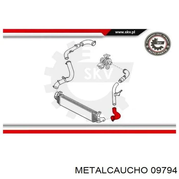 Купити 09794 Metalcaucho Шланг/патрубок интеркуллера