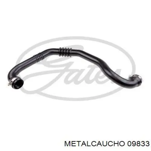 Купити 09833 Metalcaucho Шланг/патрубок интеркуллера