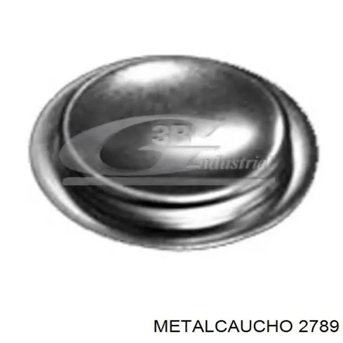 Купити 2789 Metalcaucho Заглушка блоку циліндрів