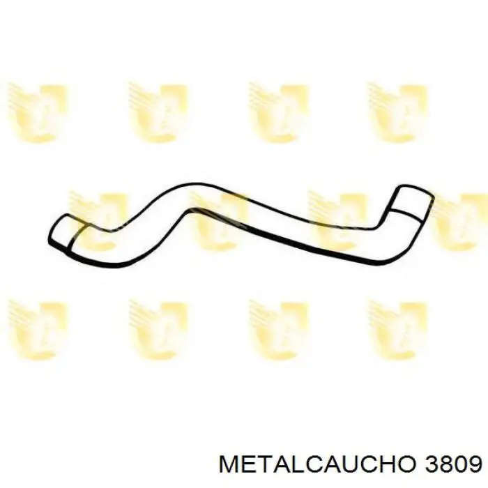 Бачок системи охолодження двигуна розширювальний Metalcaucho 3809 ціна, від 19.19 USD
