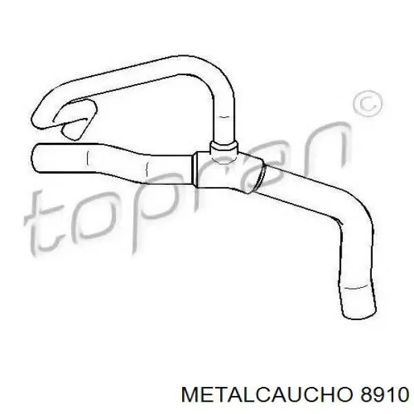 6025308738 Renault (RVI) Шланг/патрубок радіатора охолодження, нижній