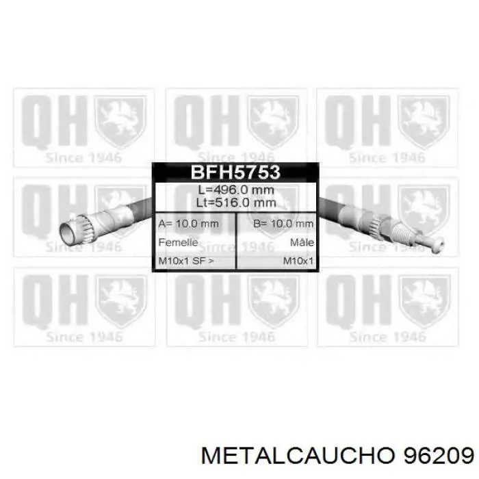 Купити 7700302387 Renault (RVI) Шланг гальмівний задній