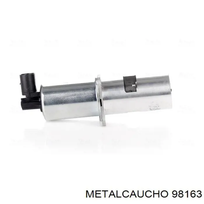  98163 Metalcaucho