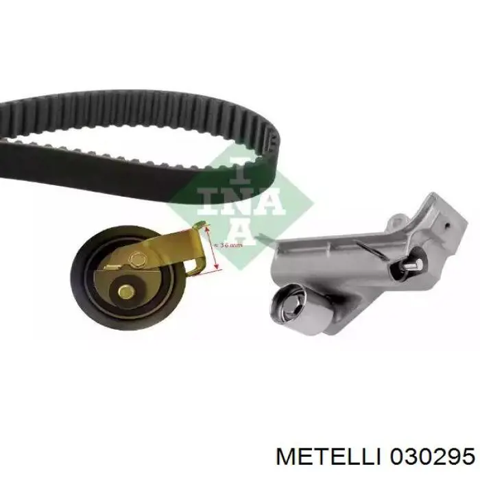  030295 Metelli