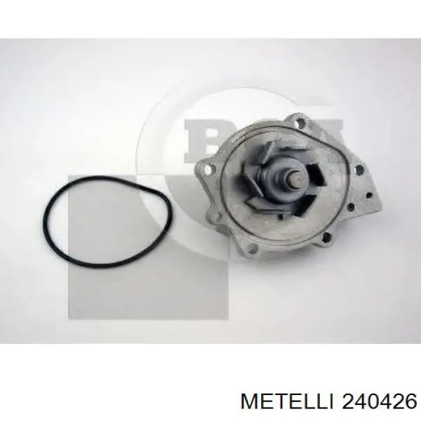 240426 Metelli Насос охолодження