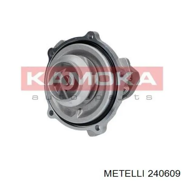 240609 Metelli Насос охолодження