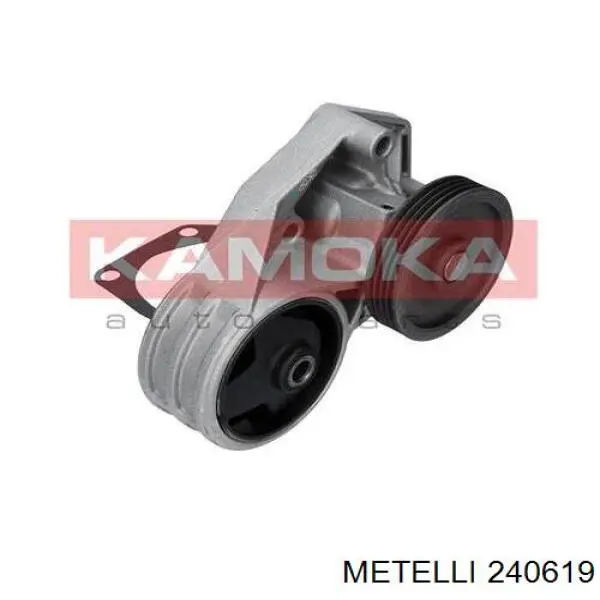 Помпа 240619 Metelli