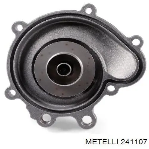 241107 Metelli Насос охолодження