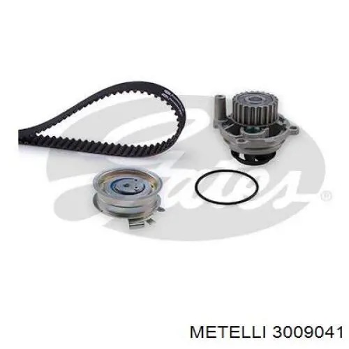 Ремкомплект ГРМ Metelli 3009041