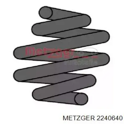 Купити SR135TP Raiso Задні пружини