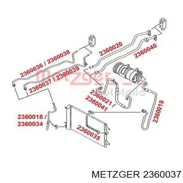  2360037 Metzger