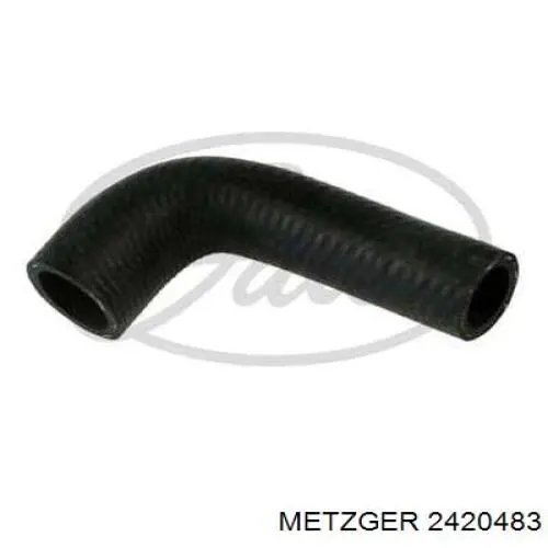 Купити 2420483 Metzger Трубопроводи і шланги системи охолодження