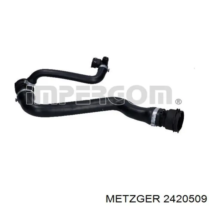 Купити 2420509 Metzger Шланг/патрубок радіатора охолодження, верхній
