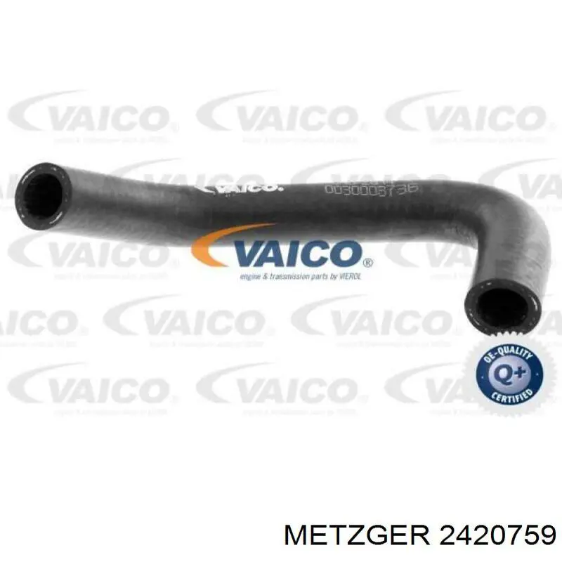 Купити 2420759 Metzger Шланг/патрубок водяного насосу, нагнітаючий
