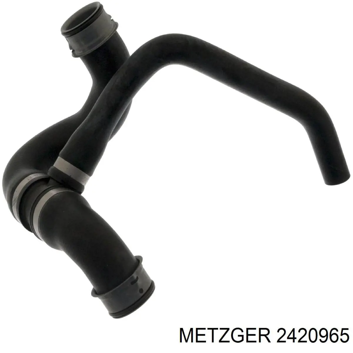 Купити 2420965 Metzger Шланг/патрубок радіатора охолодження, нижній