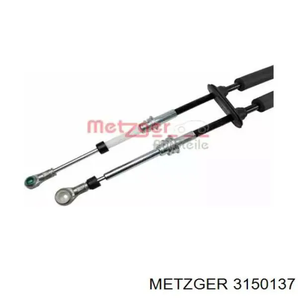  3150137 Metzger