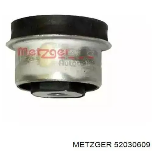 Купити 52030609 Metzger 