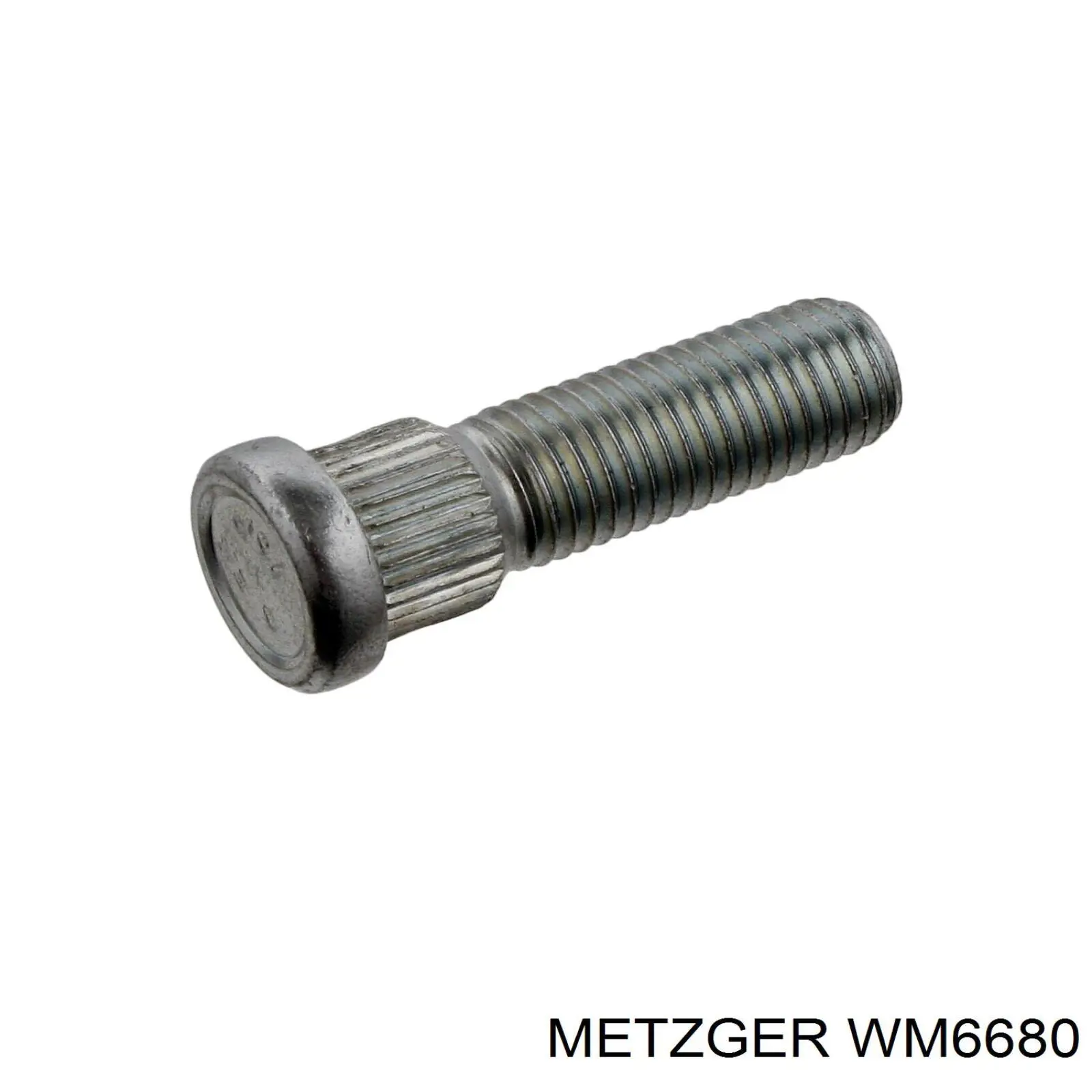 WM6680 Metzger маточина передня