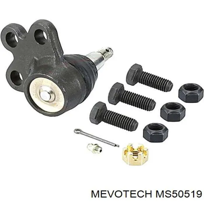 Купити MS50519 Mevotech Кульова опора, нижня