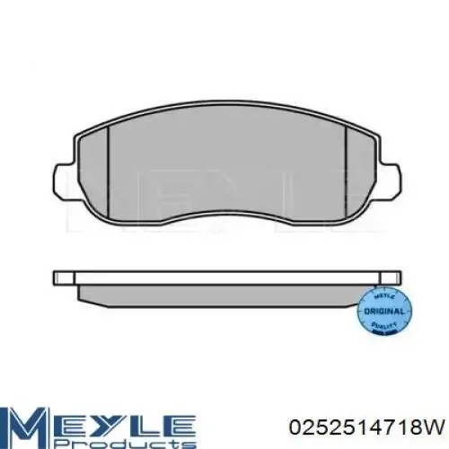 Передні тормозні колодки 8660006302 Renault (RVI)