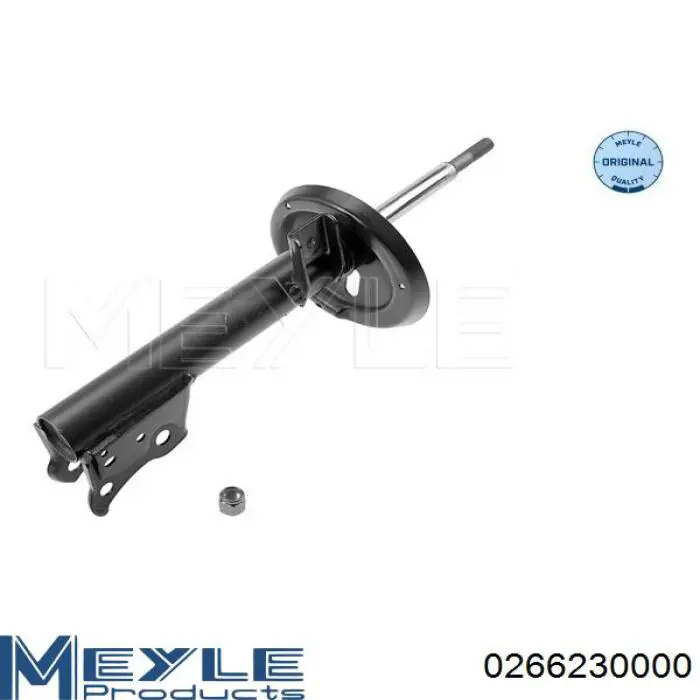 Амортизатор передній RS553669 Raiso