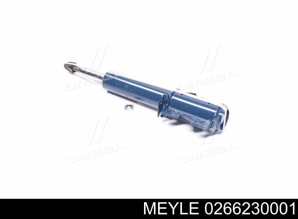 Амортизатор передній RS115907 Raiso