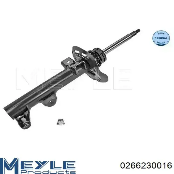RS317560 Raiso Стійка передня