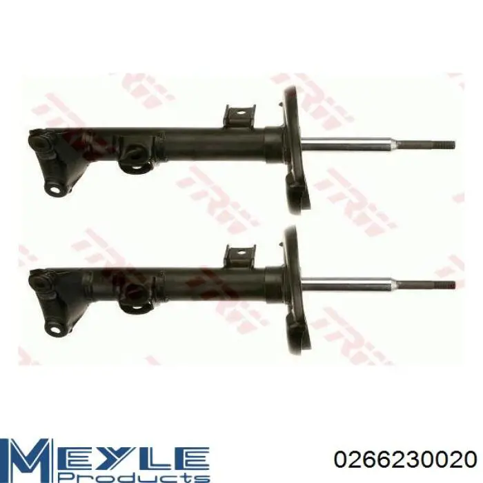 Амортизатор передній RS317559 Raiso